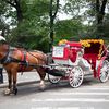 De Blasio Is Making Another Push To Ban Horse Carriages In NYC. Here’s What You Need Know
